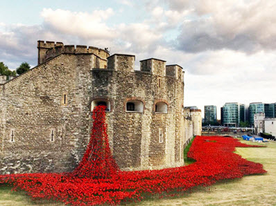 Poppy display outside the Tower of London 