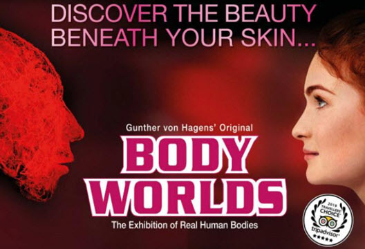 body world banner