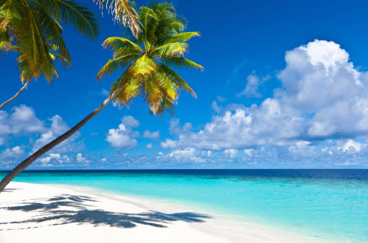 caribbean beach scene 