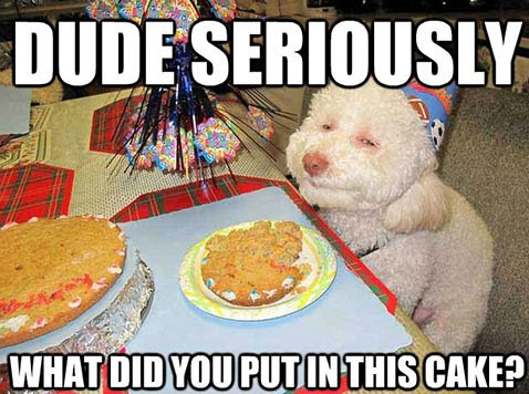 Diabetic cake mix