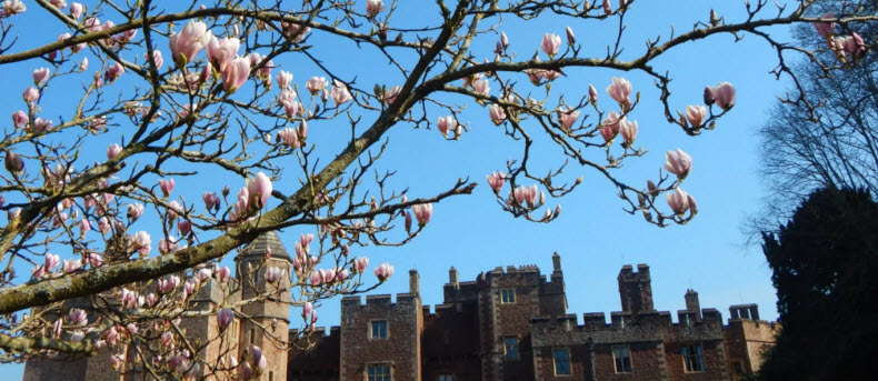 Dunster Castle Wedding Venue