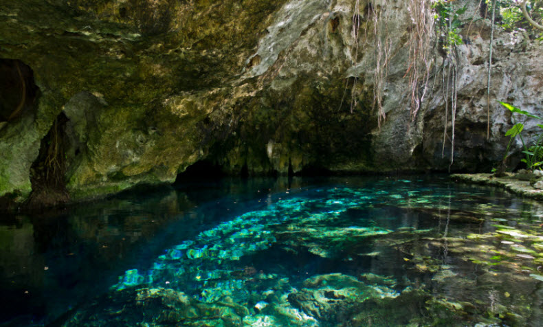 Xenotes Oasis Maya Tour