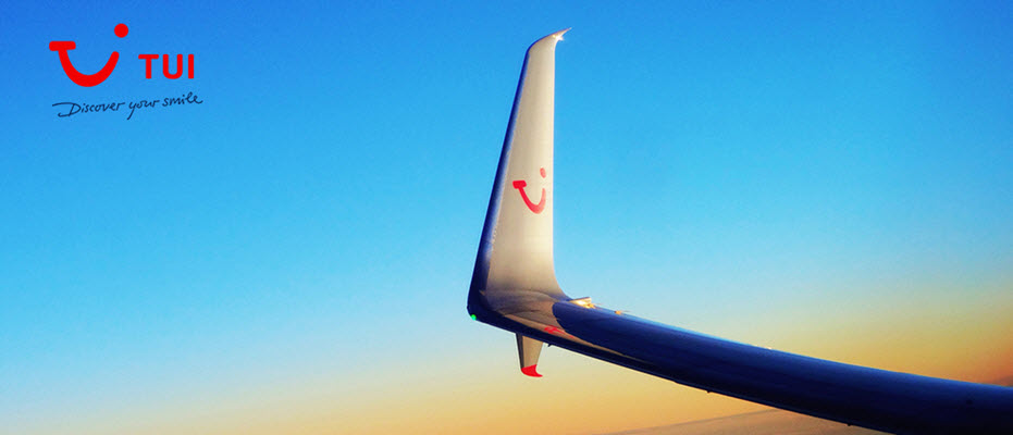 tui plane wing 